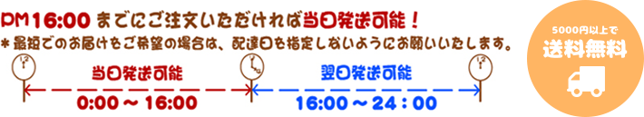 PM16:00までにご注文いただければ当日発送可能